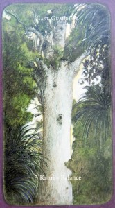 Shamanic wisdom card east Guardian kauri Tree